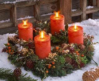 《影子策略：被诅咒的船员》角色预告