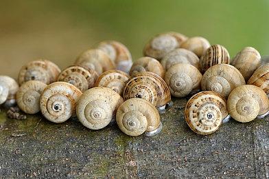 《From The Past》登陆Steam 恐怖探索