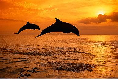 PS VR2介绍：支持透视功能、VR模式和电影模式